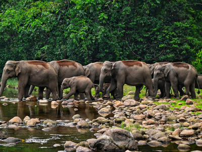 Kerala