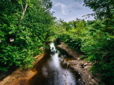 Hampton Inn & Suites Manchester