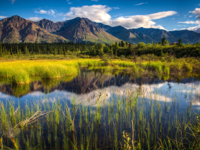 Road Trip: Alaska & Yukon Highlights