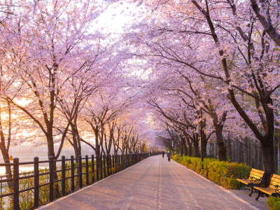 Best Time To Visit South Korea