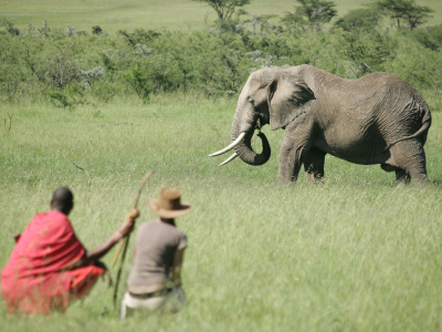 Luxury Safari Holidays