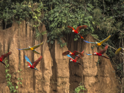 Natural Wonders of the World