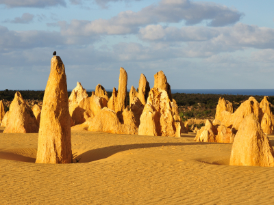 Australien - Vestaustralien - Pinnacles - 164910137