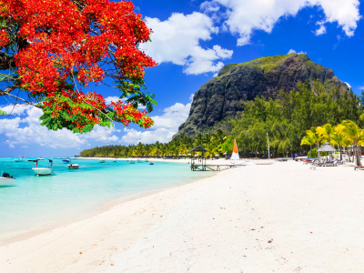 Vit sandstrand som möter turkost hav i soliga Mauritius