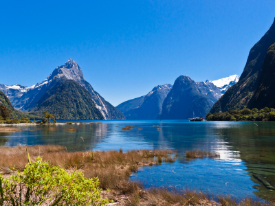 New Zealand - South Island - Fiordlands - Milford Sound (12)_0