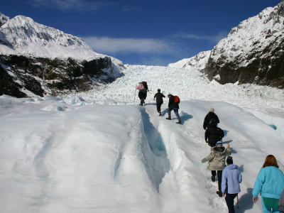 New Zealand - South Island - West Coast - Fox Glacier - Gletsjer - Vandring_0