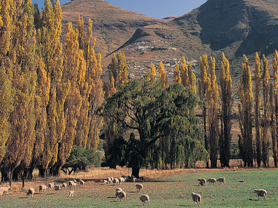 Sydafrika - Bloemfontein (5).jpeg