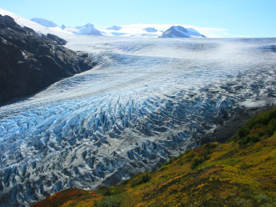 USA - Alaska - Kenai Fjords National Park - Seward - Exit Glacier