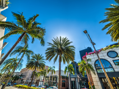 USA - Californien - Los Angeles - Rodeo Drive.jpeg