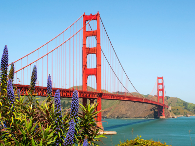 USA - Californien - San Francisco - Golden Gate - 8