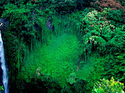 USA - Hawaii - Maui - Hana - Natur - Vandfald - 2.jpg