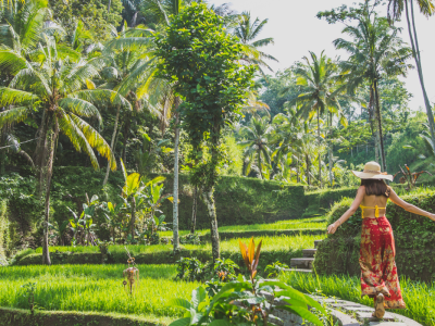 Bali & Lomboks højdepunkter - MyPlanet Rejser