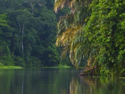 Rejse til Costa Rica - eventyr og strand