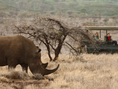 Eksklusiv safari i kenya og paradis på seychellerne