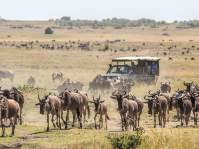 Kenya langt fra alfarvej