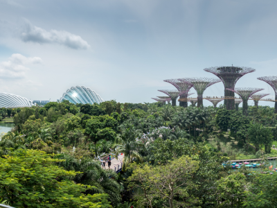 Oplev Singapore og den Malaysiske-halvø