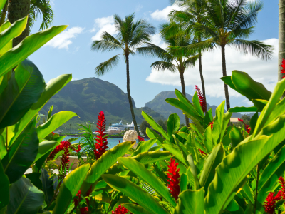 kauai-hawaii