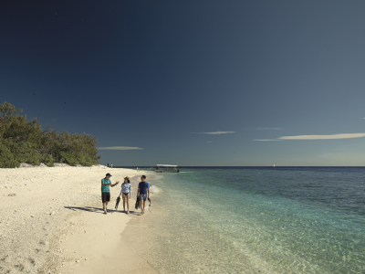 lady elliot island beach 2