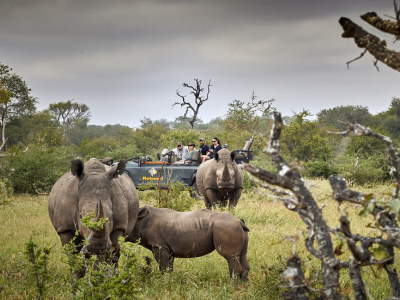 Rejser til Kruger og Panoramaruten