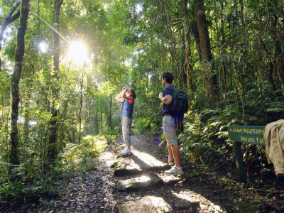 Australien - Queensland - Lamington National Park - vandretur_3