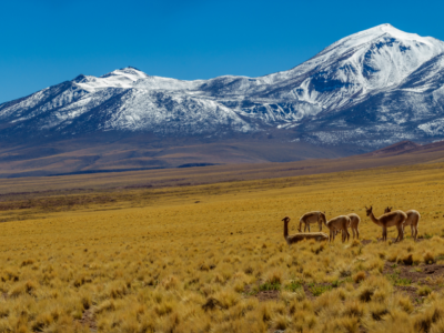 Chile: Søerne og vinlandet