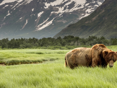 Roadtrip: Det bedste af Alaska