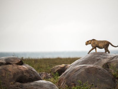 Best Time To Visit Tanzania