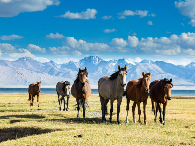 Central Asia