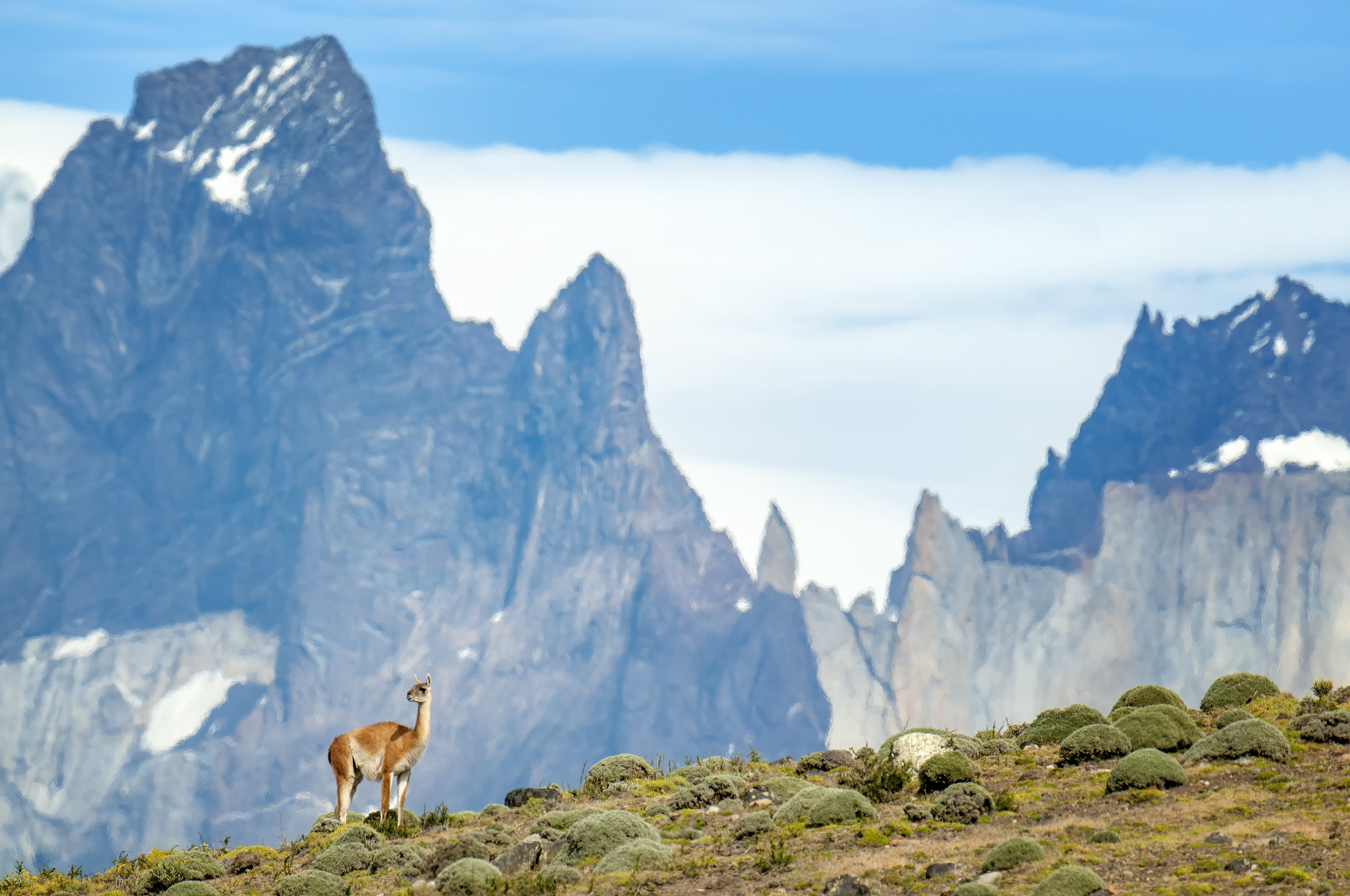 Essential Patagonia: Chilean Fjords and Torres del Paine