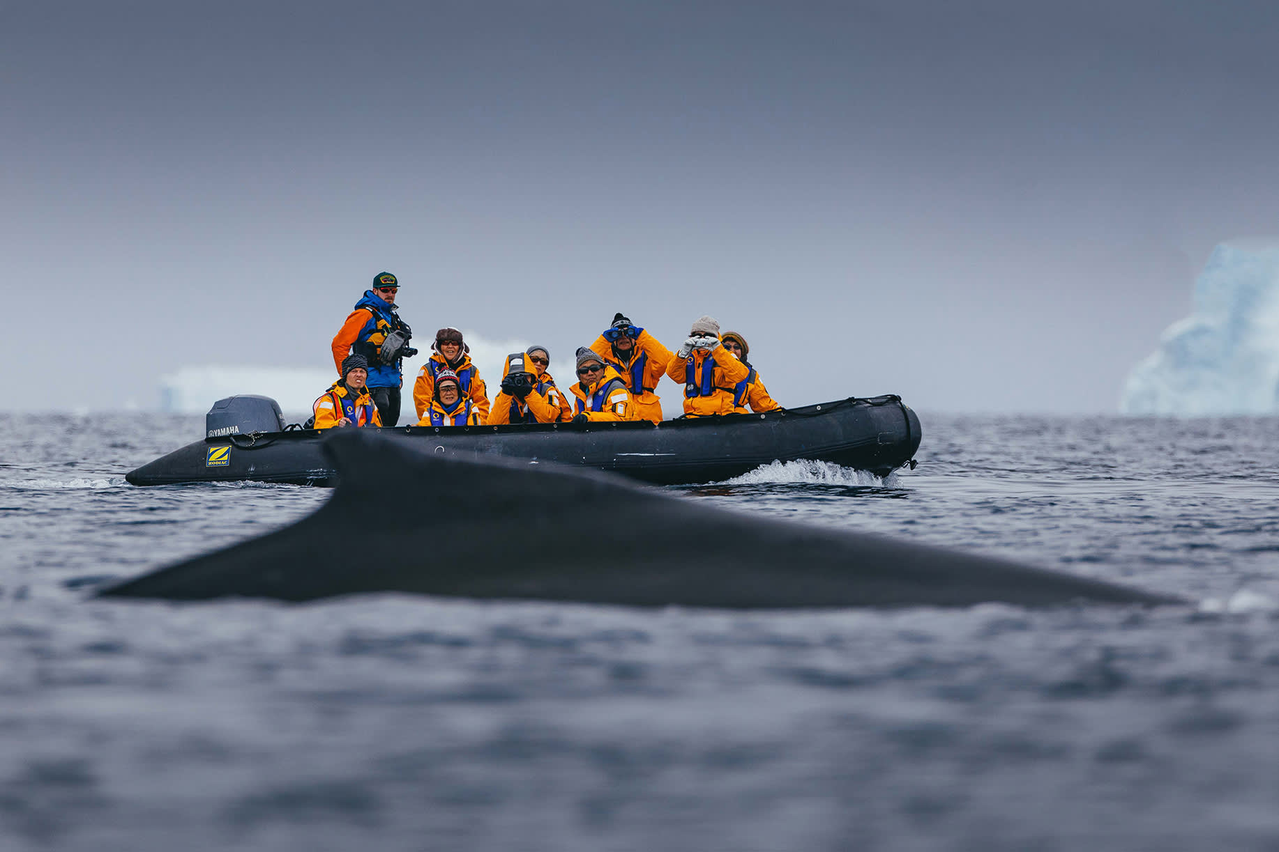 Antarctic Explorer: Discovering the 7th Continent