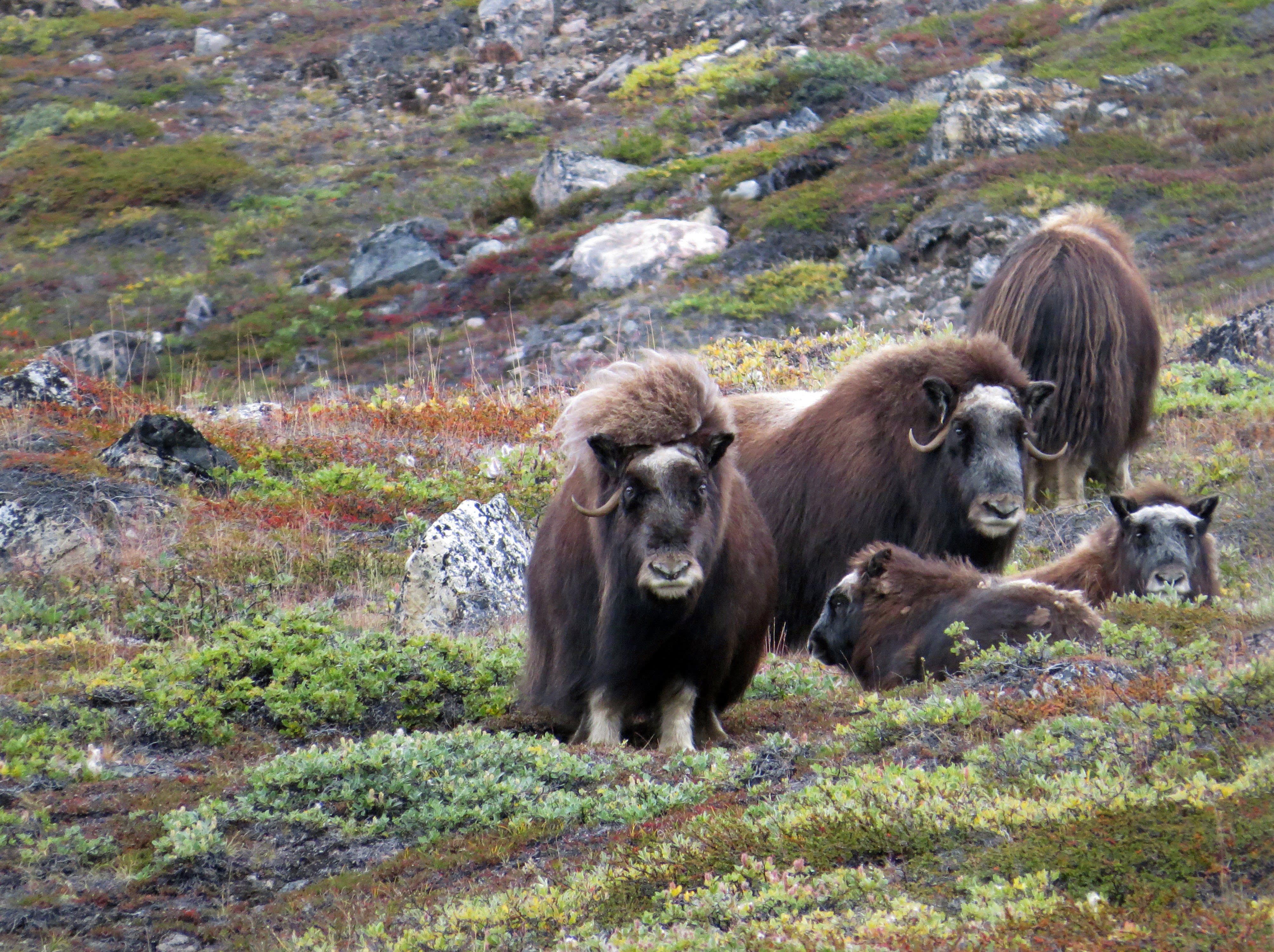 Northwest Passage: The Legendary Arctic Sea Route