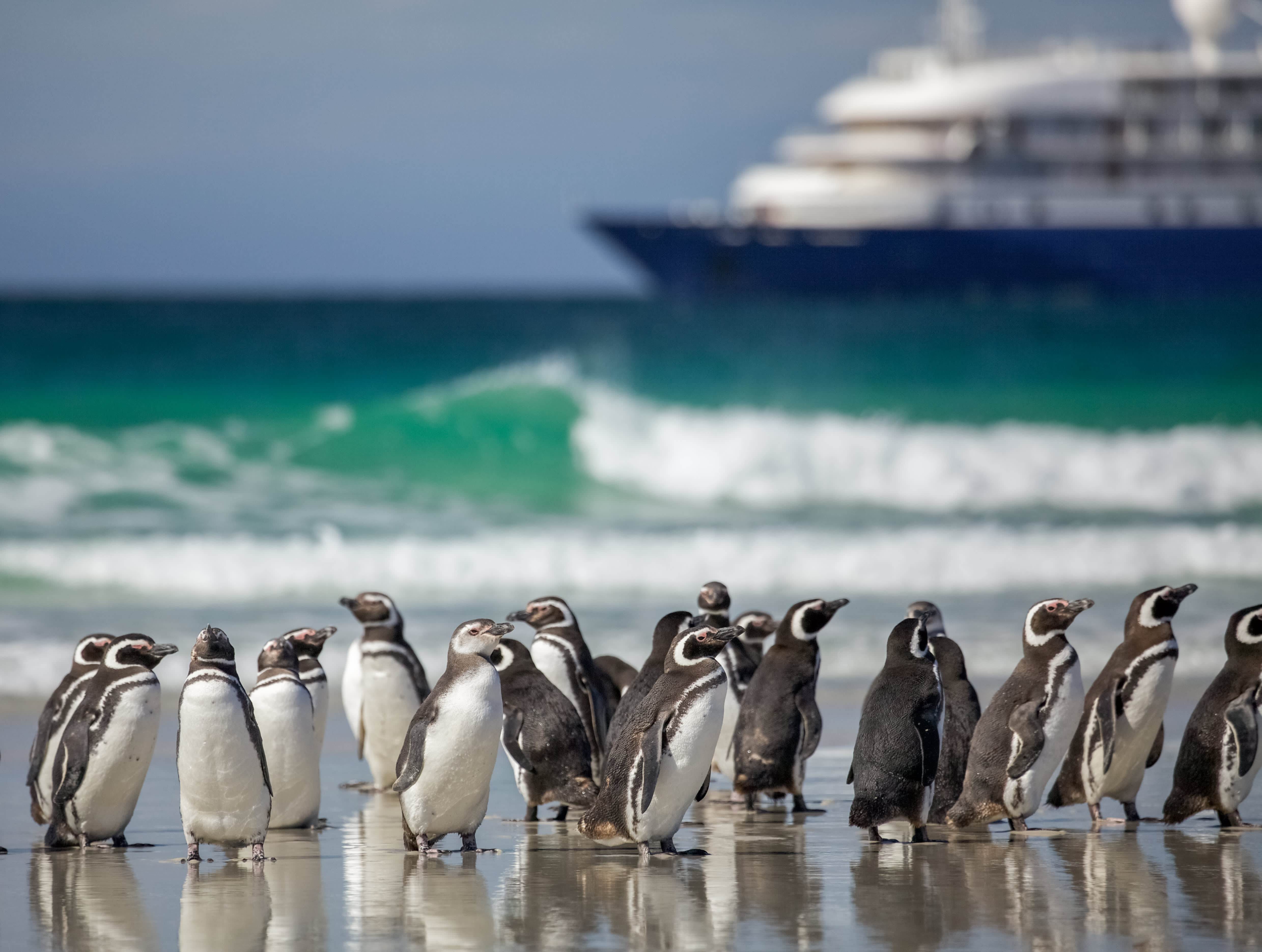 Epic Antarctica: The Falklands, South Georgia and Crossing the Circle