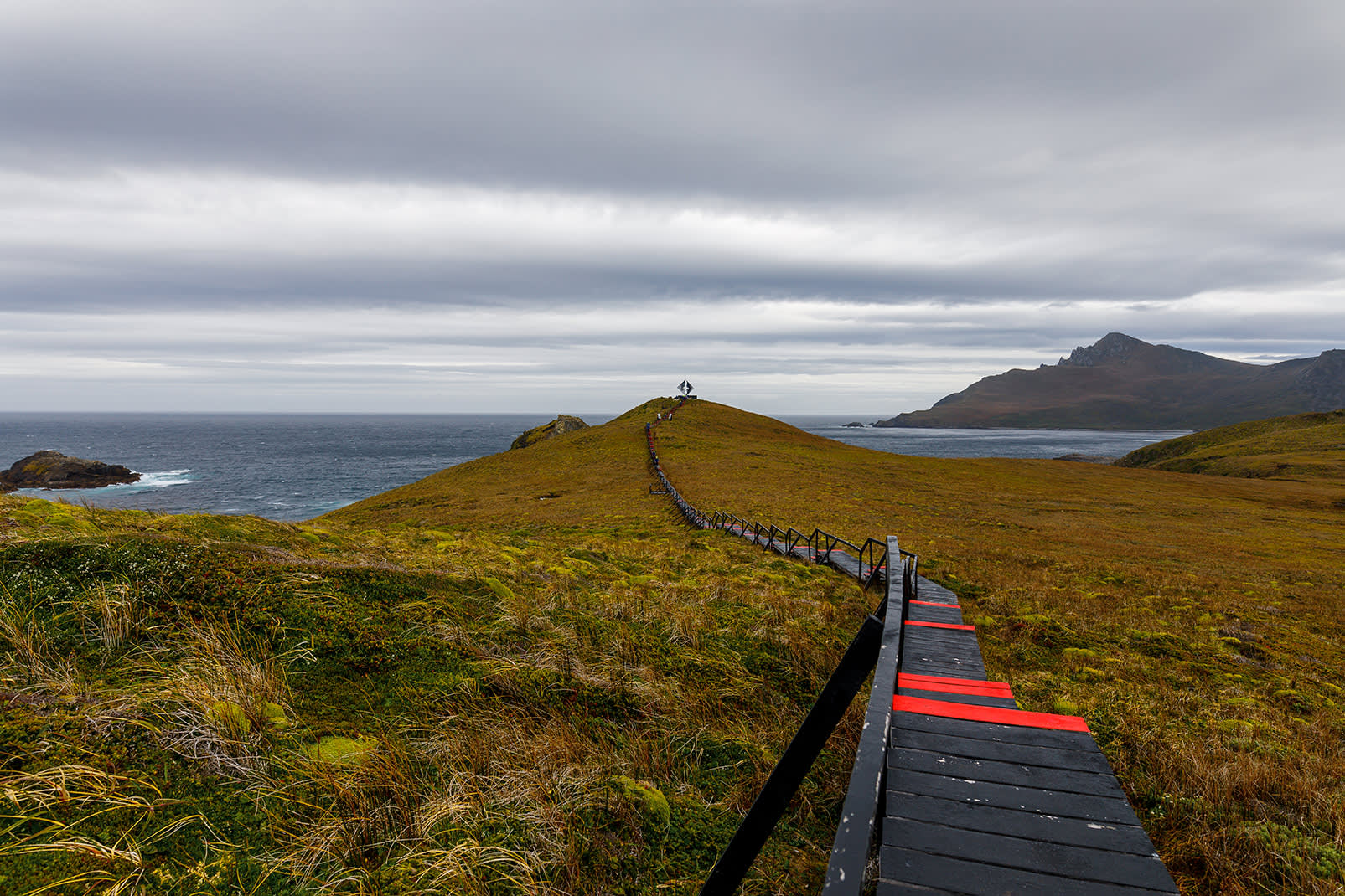 Essential Patagonia: Chilean Fjords and Torres del Paine