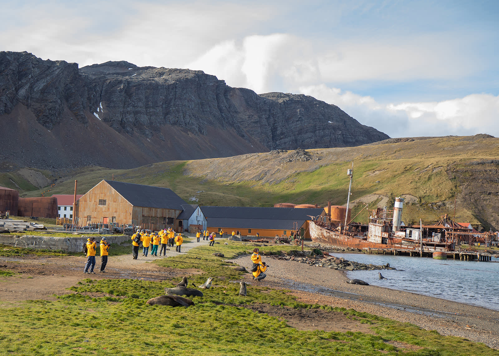 South Georgia and Antarctic Peninsula: Penguin Safari
