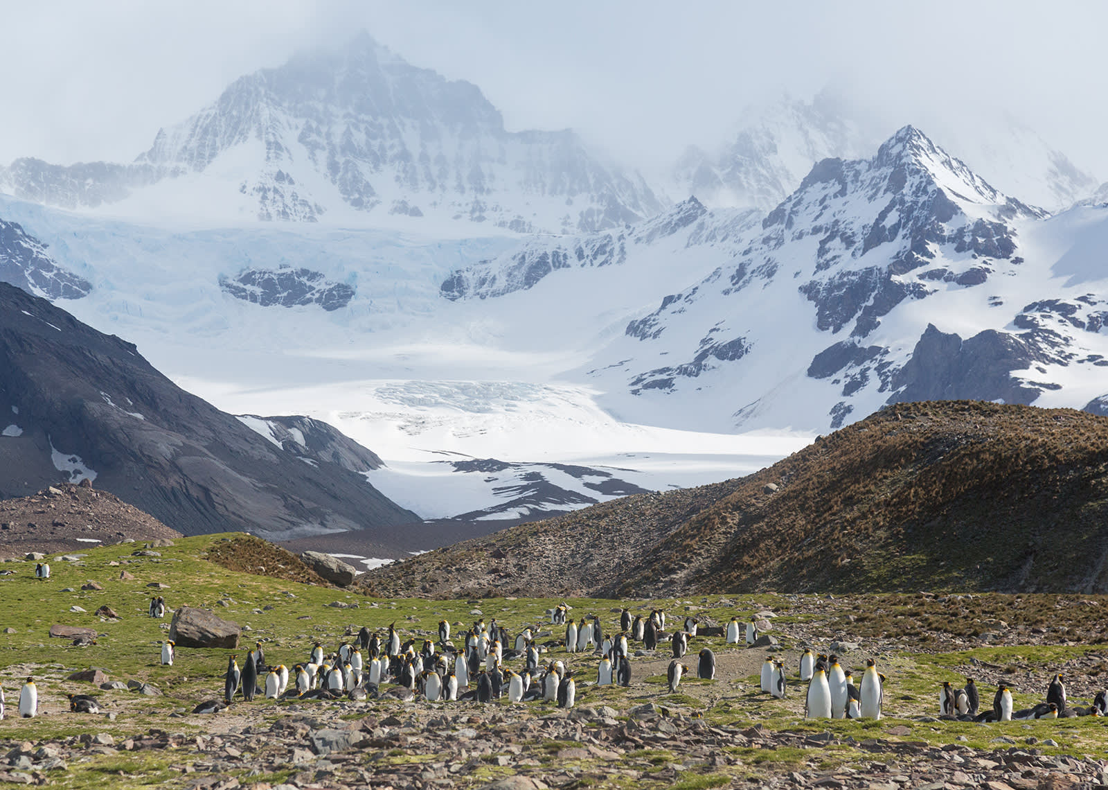 Epic Antarctica: The Falklands, South Georgia and Crossing the Circle