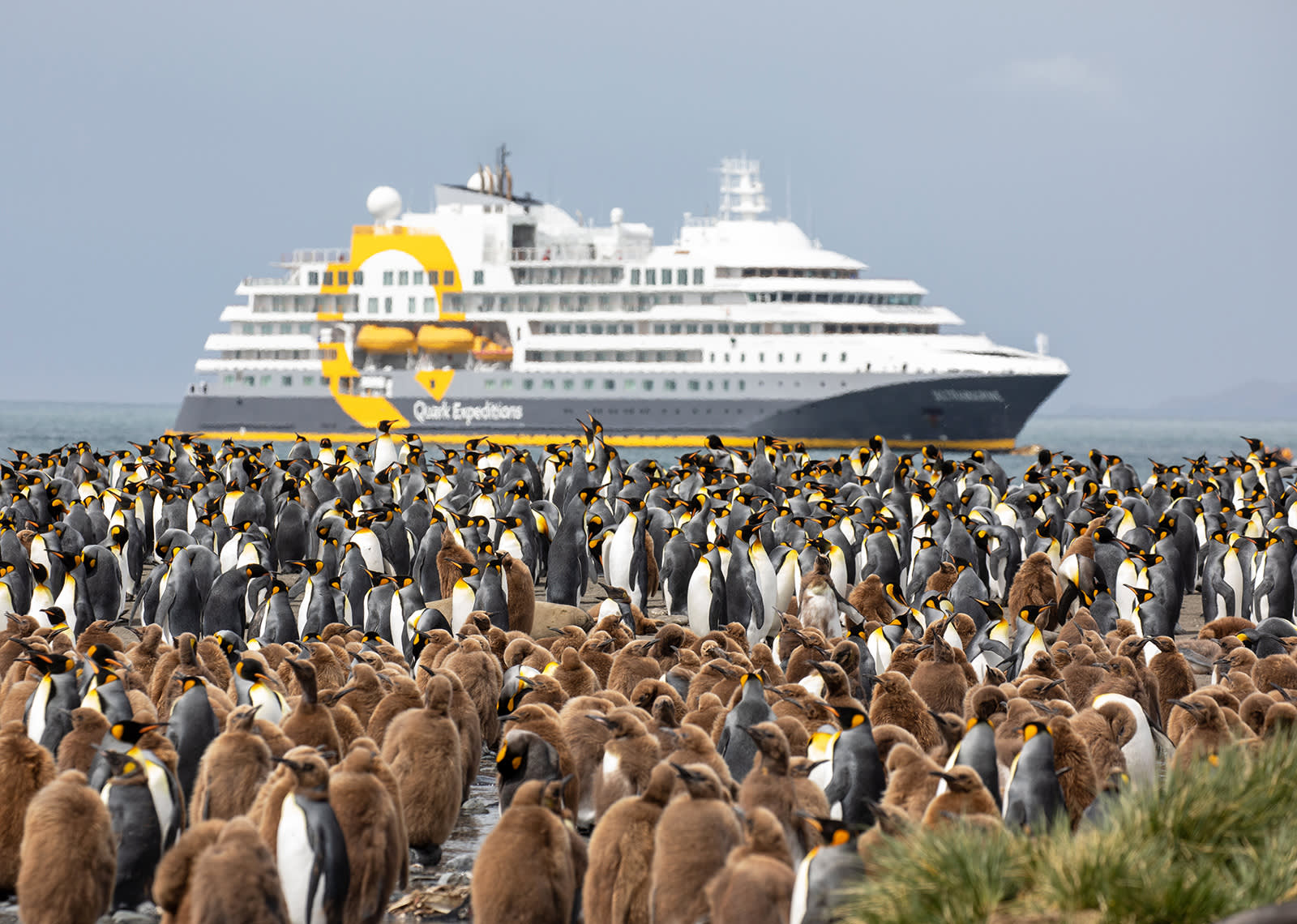 Epic Antarctica: The Falklands, South Georgia and Crossing the Circle