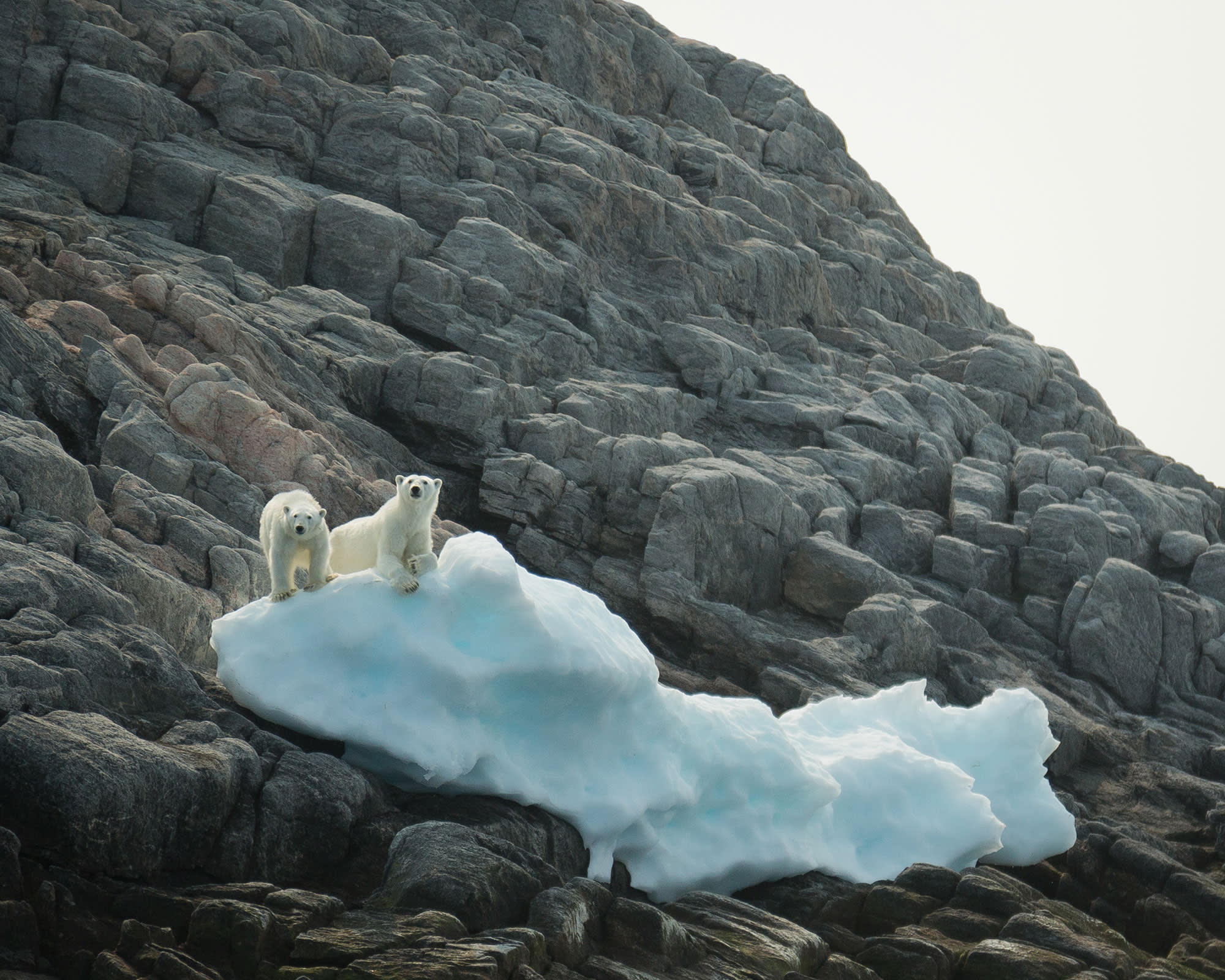 Northwest Passage: The Legendary Arctic Sea Route