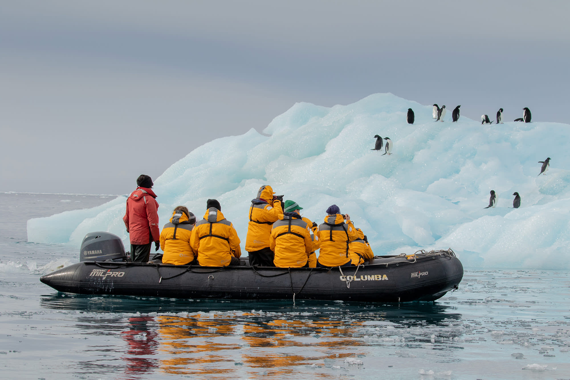 Antarctic Explorer: Discovering the 7th Continent