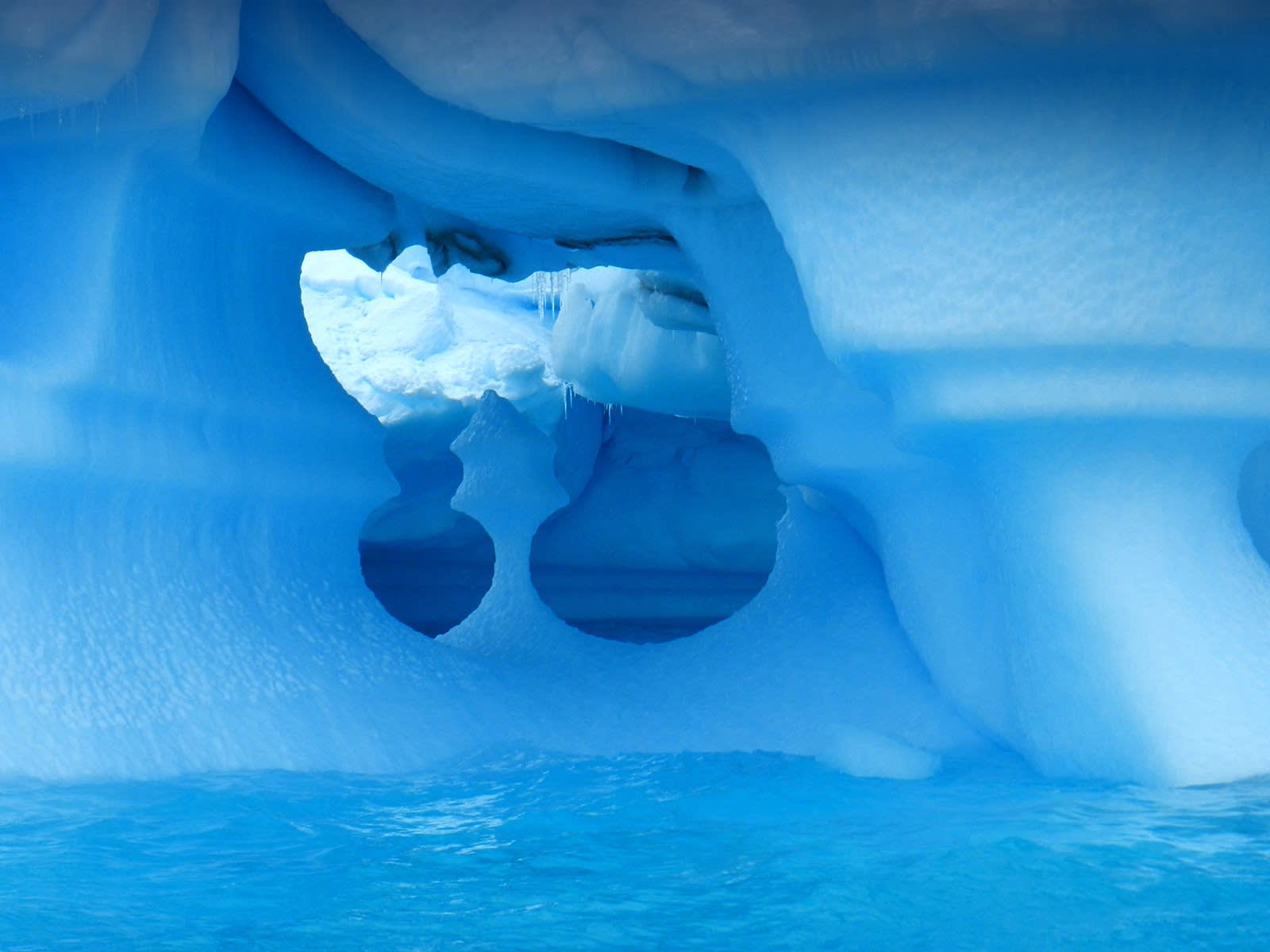 Antarctic Express: Fly South, Sail North