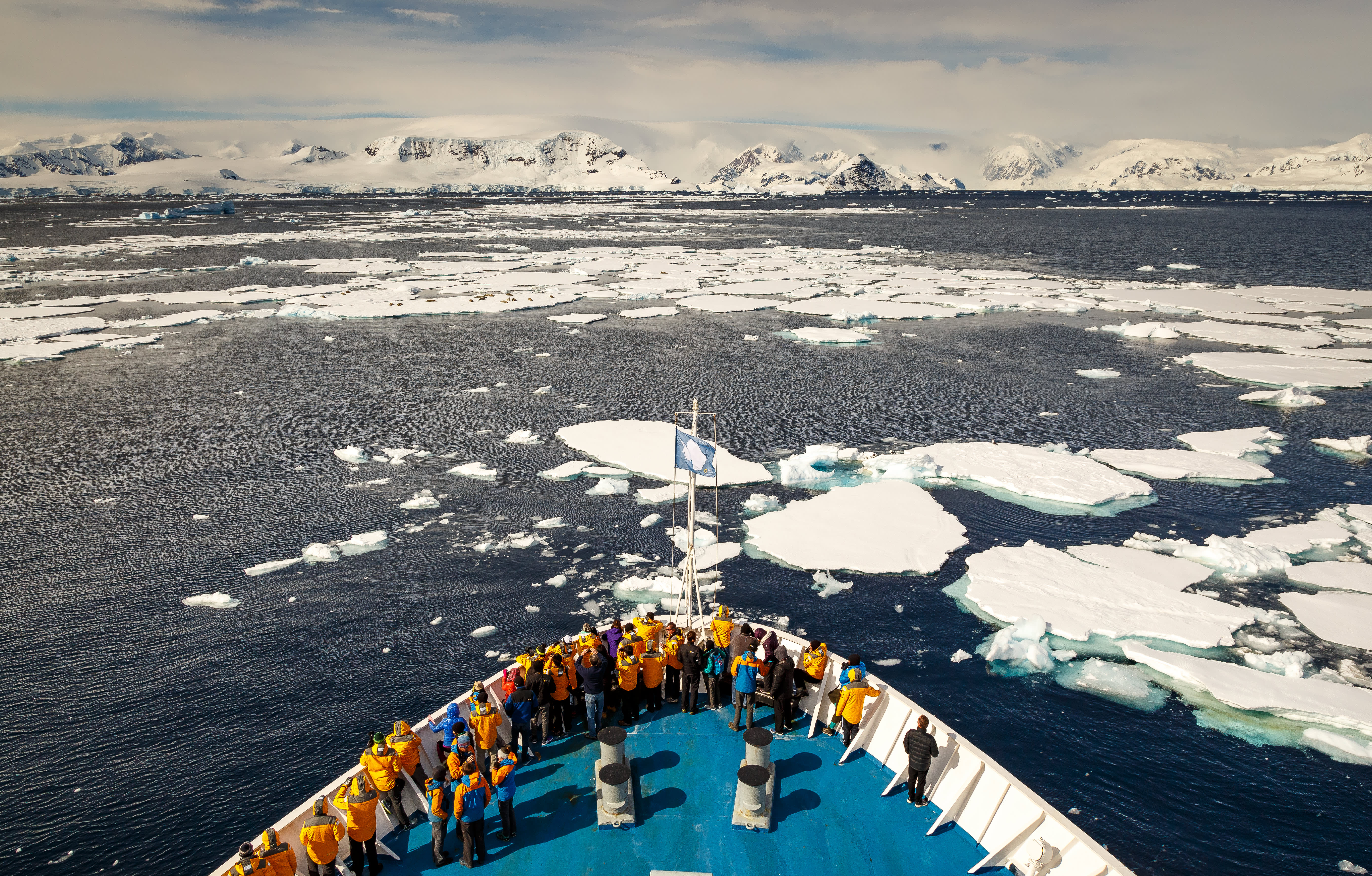 South Georgia and Antarctic Peninsula: Penguin Safari