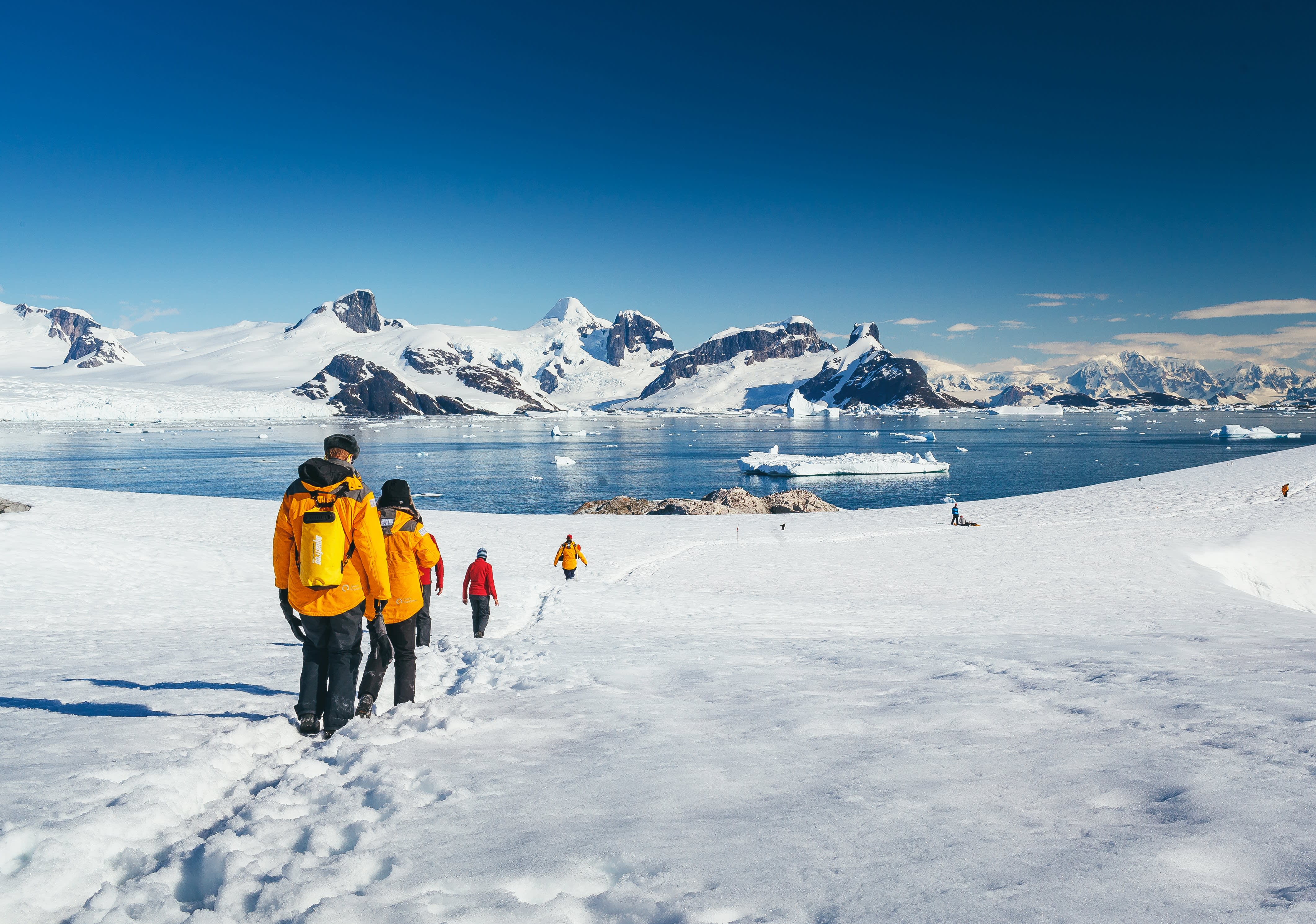 Quark passengers hiking on Petermann Island