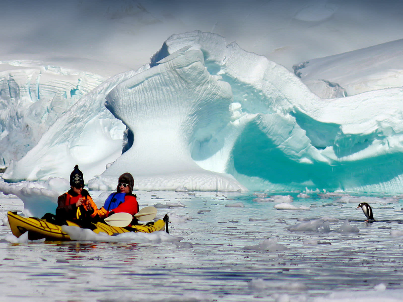 Antarctic Express: Fly South, Sail North