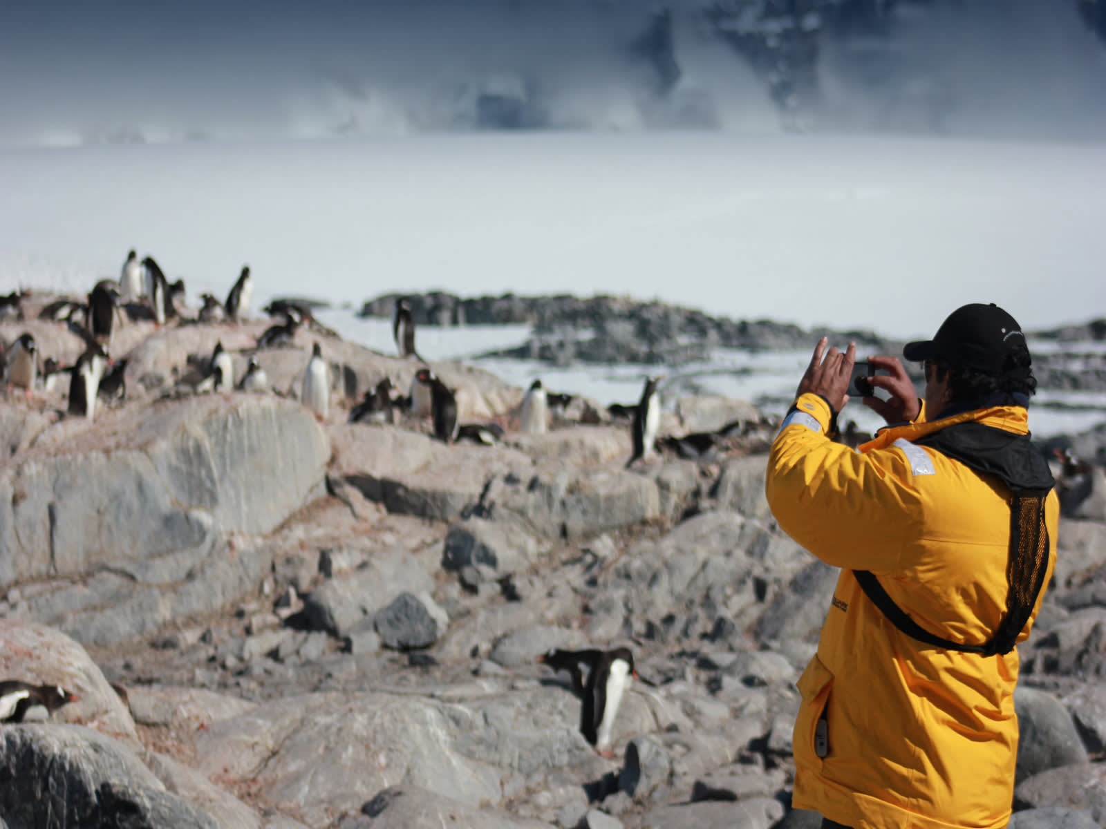 Antarctic Express: Fly South, Sail North