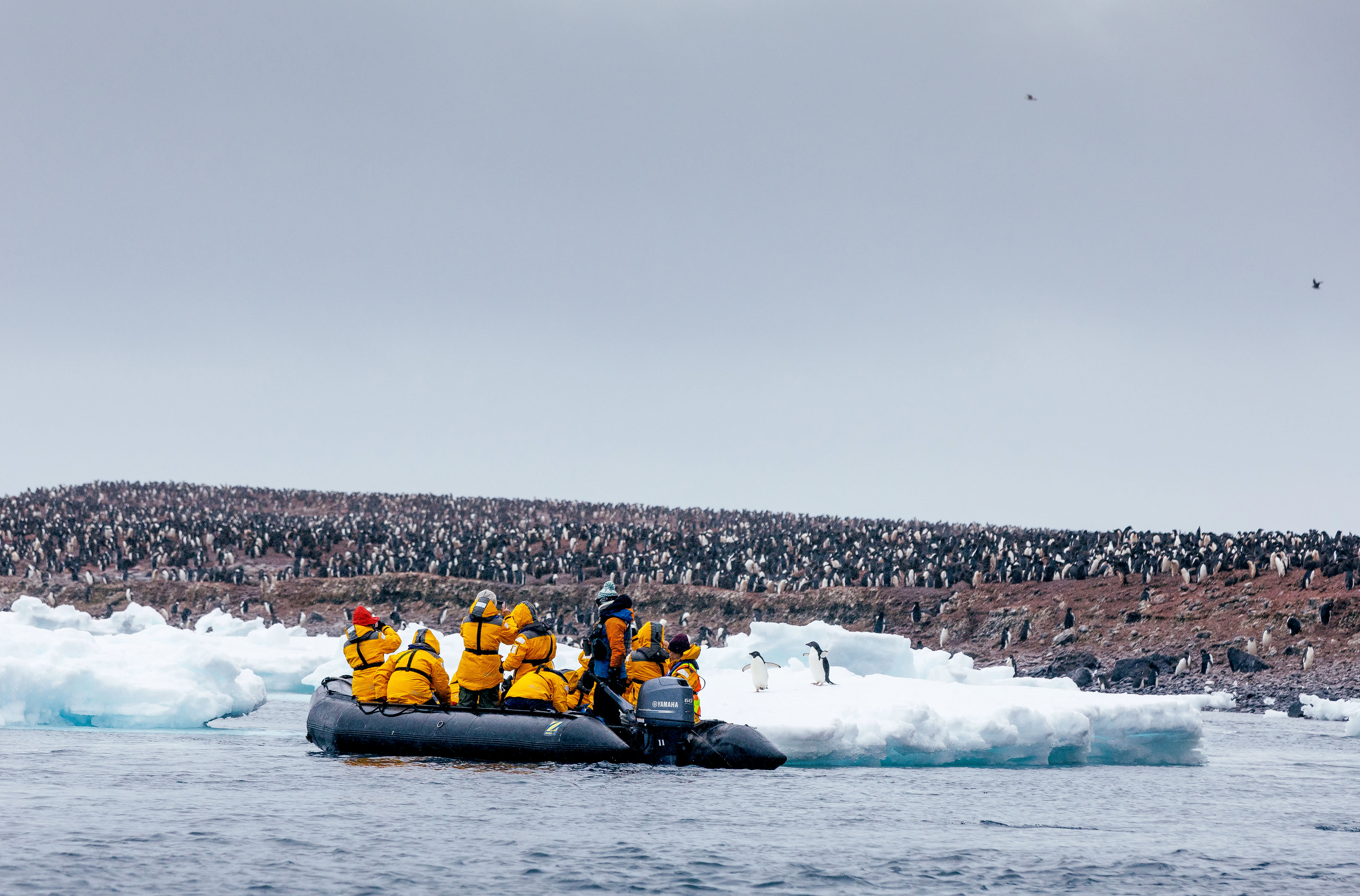 Snow Hill to the Peninsula: Shackleton's Emperors