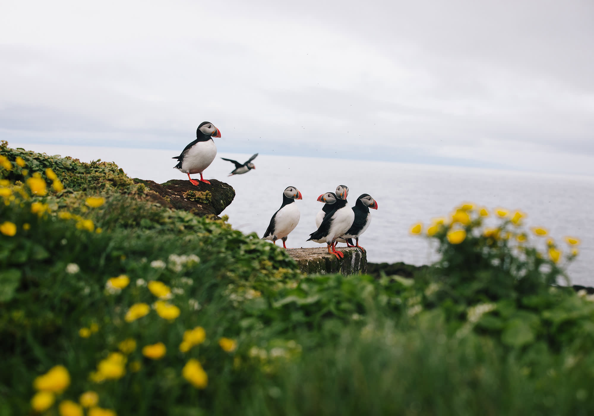 Iceland Circumnavigation: Helicopters, Glaciers and Volcanoes