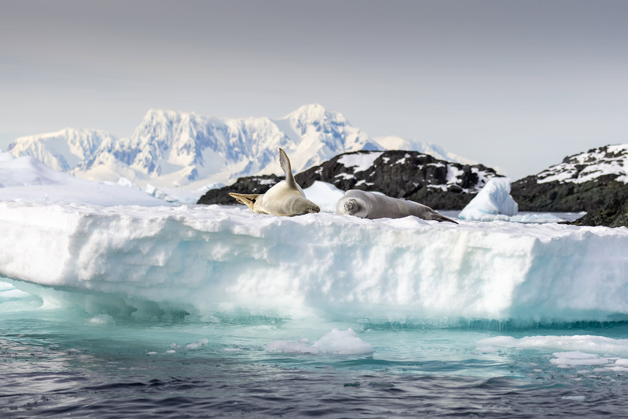 Antarctic Peninsula: Crossing the Circle