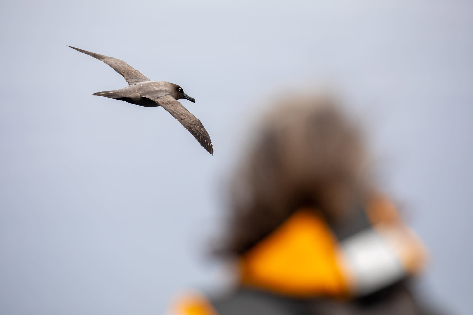 Antarctic Peninsula: Crossing the Circle