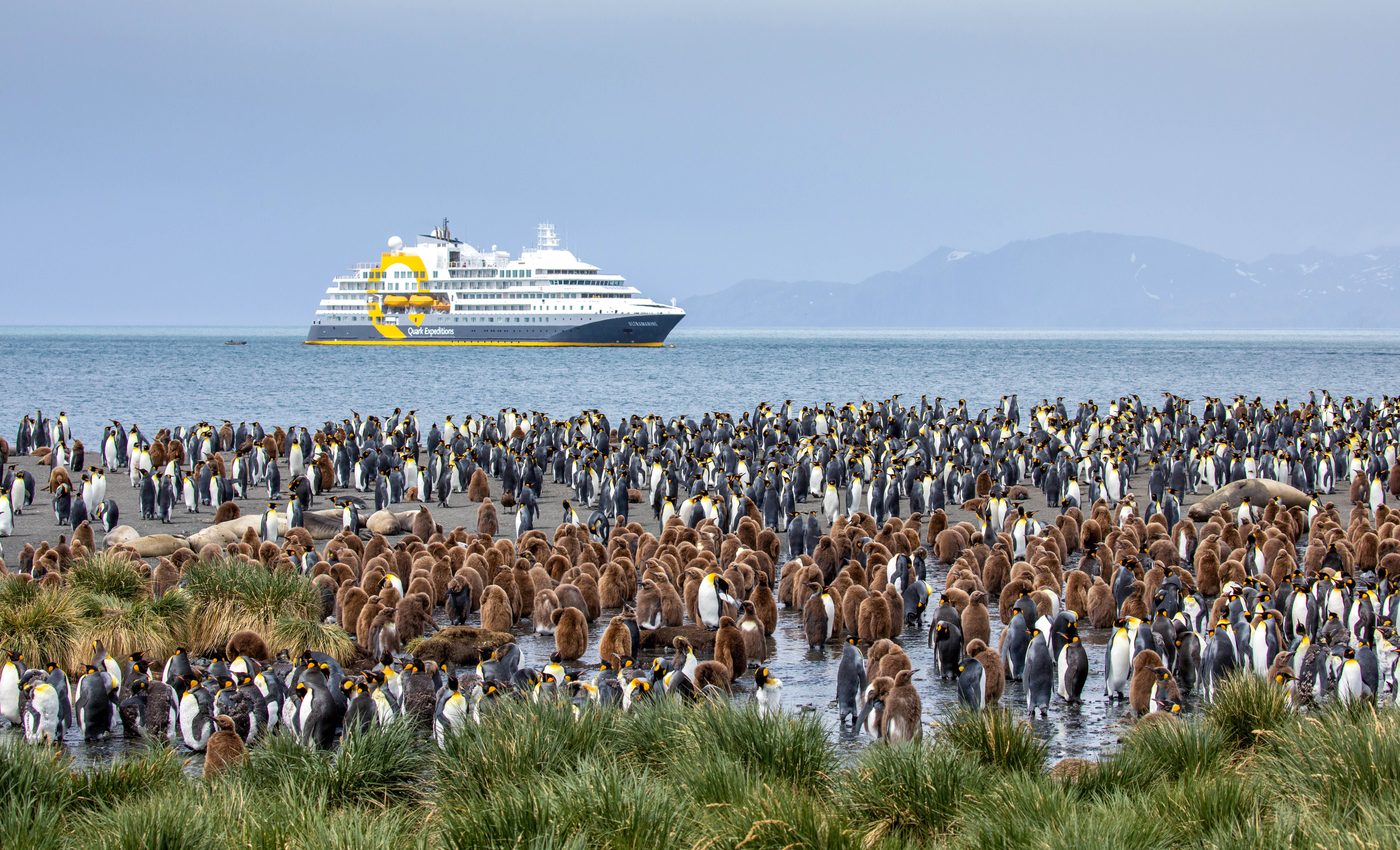 COVER_Gold_Harbour_4M9A5146_michellesole