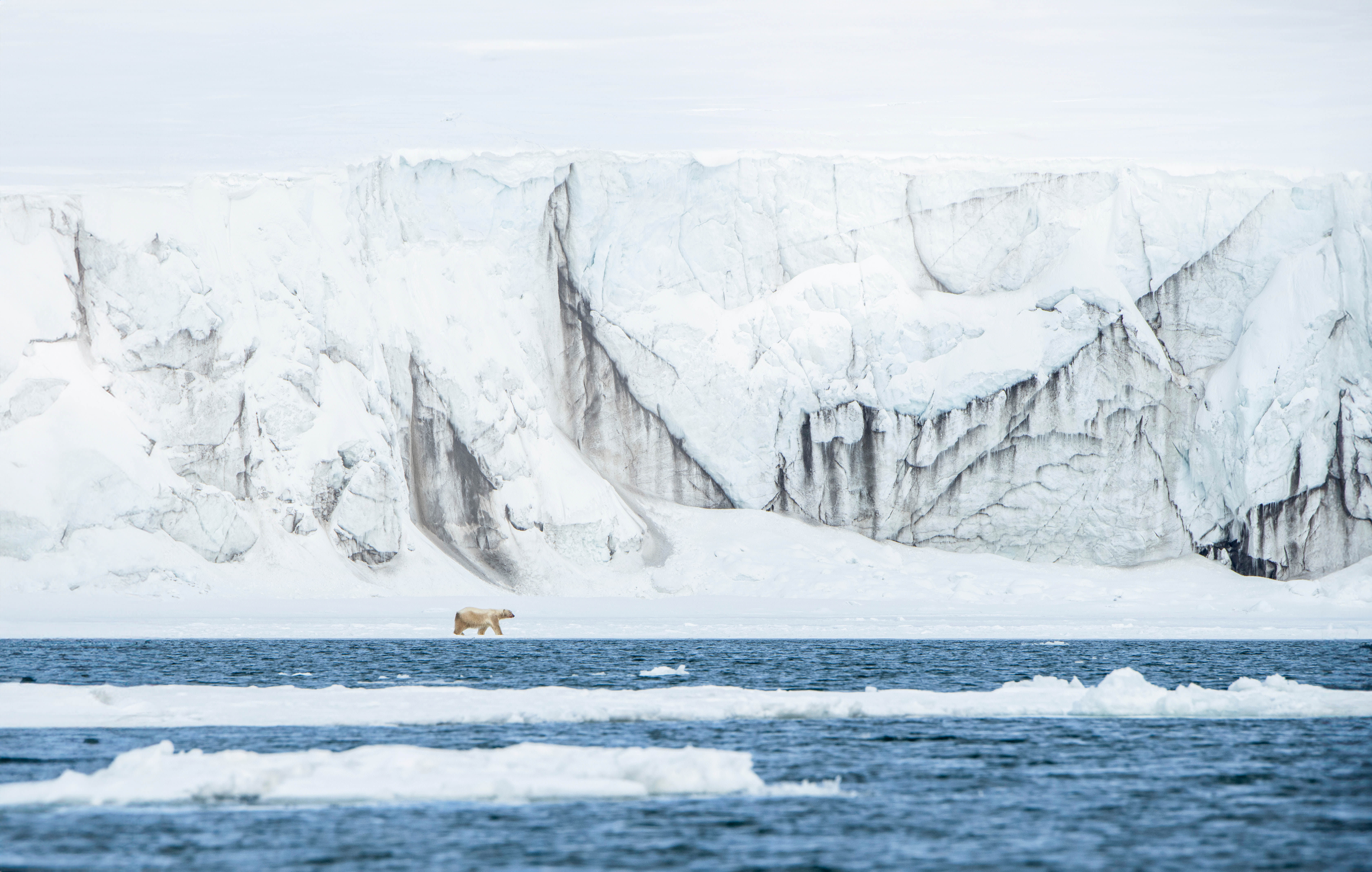 Svalbard in Spring