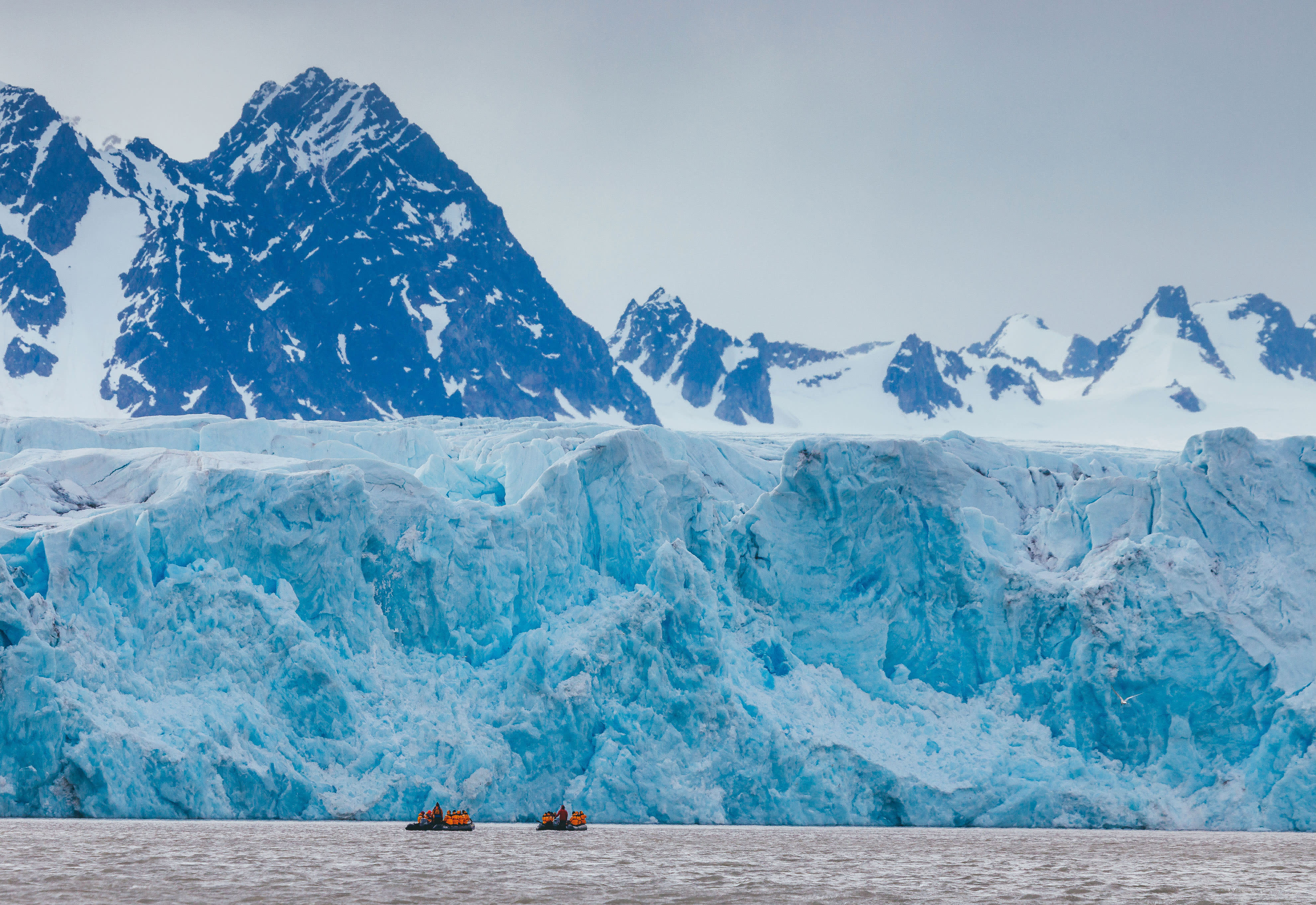 Spitsbergen Highlights: Wildlife Capital of the Arctic